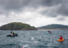 Breaking News: Dublin Bay Island Swim Set to Draw Hundreds for Tough Weekend Challenge