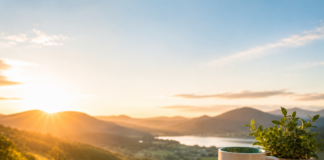 positivedigest by dailydigest