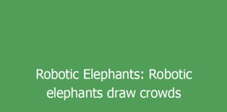 robotic elephants robotic elephants draw crowds and controversy in indias hindu temples 9810 a7f59
