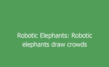 robotic elephants robotic elephants draw crowds and controversy in indias hindu temples 9810 a7f59