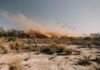 Florida Weather: Saharan Dust Pushes Orlando Heat Index Above 105°F as Storms Temporarily Fade