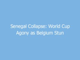 senegal collapse world cup agony as belgium stun lions in last gasp turnaround 9674 7e160