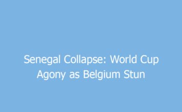 senegal collapse world cup agony as belgium stun lions in last gasp turnaround 9674 7e160