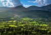 Travel Ireland: Why Glen of Aherlow Is Tipperary’s Most Overlooked Valley Escape View of Glen of Aherlow from Christ the King statue Co Tipperary . failte Ireland ICP