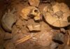 Top 10 Ancient Murder Mysteries That Still Baffle Historians