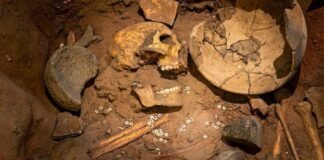 Top 10 Ancient Murder Mysteries That Still Baffle Historians shutterstock 2447804671