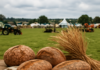 Breaking News: National Brown Bread Competition Returns at the Ploughing Championships