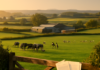 Farm Payments Ireland: Department Updates Scheme Payments to 25 September 2026