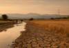 Why Heat-Driven Droughts Are Making Life More Expensive Across Europe