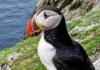 Travel Ireland: Skellig Michael, Puffins and a Monastery Above the Atlantic