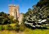 Beyond the Blarney Stone: A Flavour-Filled Day in Cork